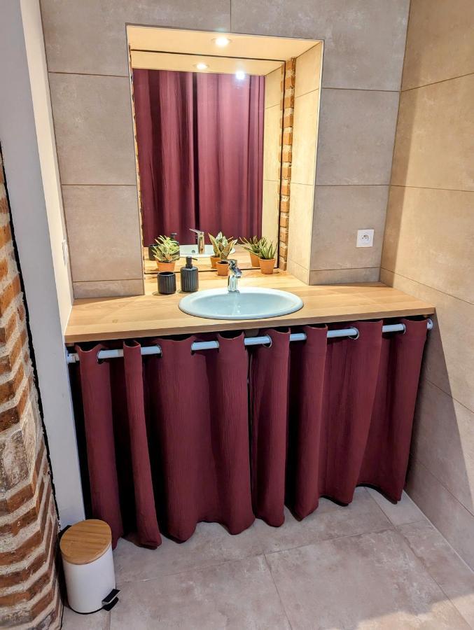 Douceur, Elegance Au Coeur D'Albi Daire Dış mekan fotoğraf